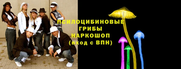 мескалин Мегион