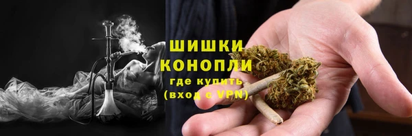 тгк Няндома