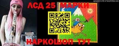 гашик Берёзовский