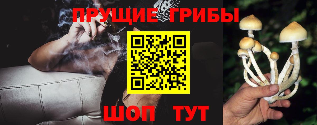 Псилоцибиновые грибы Psilocybe  Вход с VPN  Коломна 